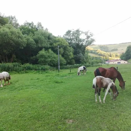 Oddychovy Na Rodinnej Farme Апартаменты *