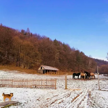 Oddychovy Na Rodinnej Farme Matiaska