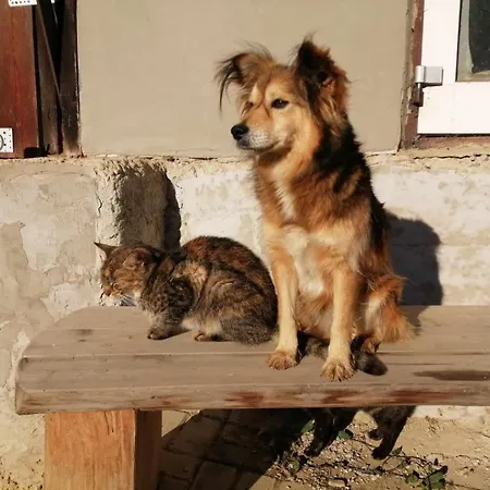 Apartment Oddychovy Na Rodinnej Farme