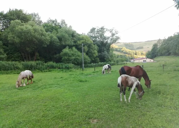 Oddychovy Na Rodinnej Farme Апартаменты *