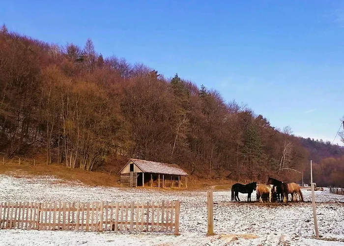 Oddychovy Na Rodinnej Farme Matiaska