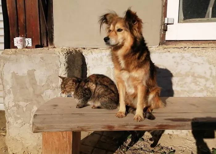 Appartamento Oddychovy Na Rodinnej Farme